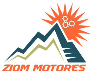 Ziom Motores Micromotores para automação